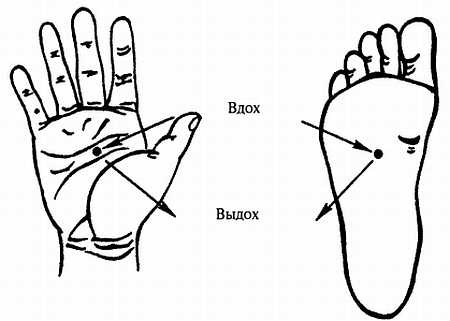 Иллюстрация к книге — Корни китайского цигун. Секреты успешной практики [_20.jpg]
