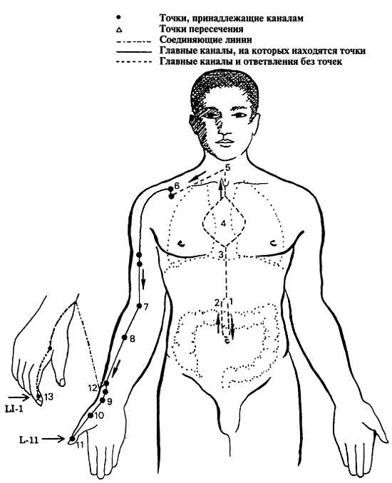 Иллюстрация к книге — Корни китайского цигун. Секреты успешной практики [_47.jpg]