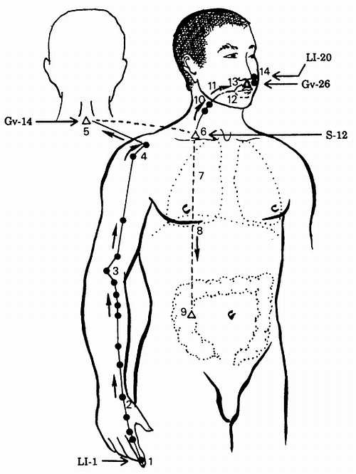 Иллюстрация к книге — Корни китайского цигун. Секреты успешной практики [_48.jpg]