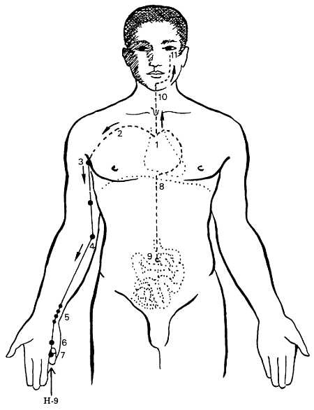 Иллюстрация к книге — Корни китайского цигун. Секреты успешной практики [_51.jpg]