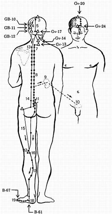 Иллюстрация к книге — Корни китайского цигун. Секреты успешной практики [_54.jpg]