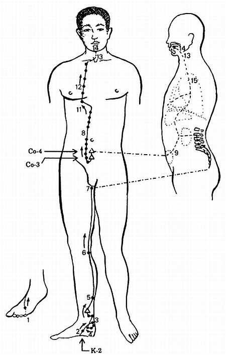 Иллюстрация к книге — Корни китайского цигун. Секреты успешной практики [_55.jpg]