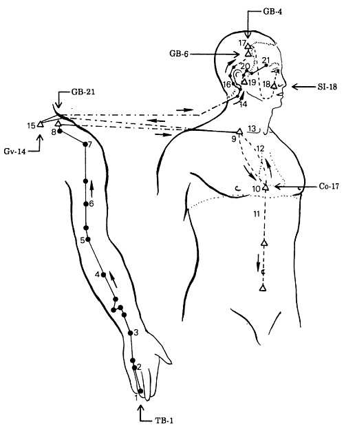 Иллюстрация к книге — Корни китайского цигун. Секреты успешной практики [_57.jpg]
