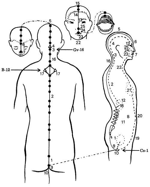 Иллюстрация к книге — Корни китайского цигун. Секреты успешной практики [_60.jpg]