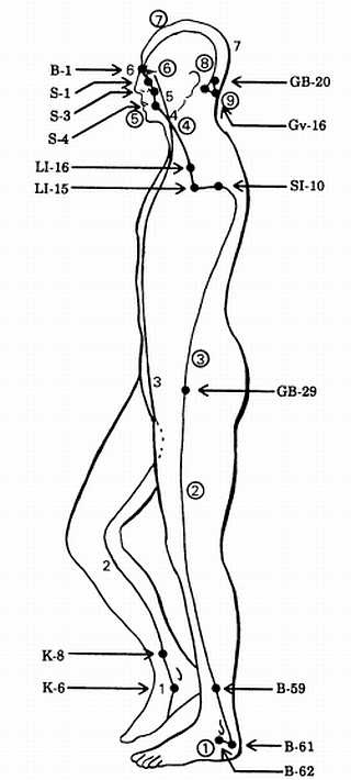 Иллюстрация к книге — Корни китайского цигун. Секреты успешной практики [_64.jpg]