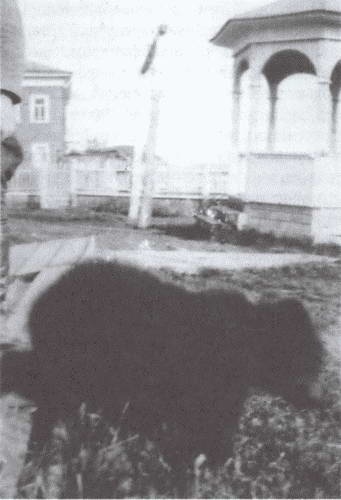 Иллюстрация к книге — Король Карелии. Полковник Ф. Дж. Вудс и британская интервенция на севере России в 1918-1919 гг. [i_008.jpg]