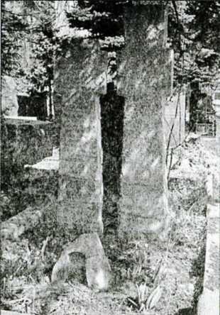 Иллюстрация к книге — Маленков. Третий вождь Страны Советов [i_031.jpg]