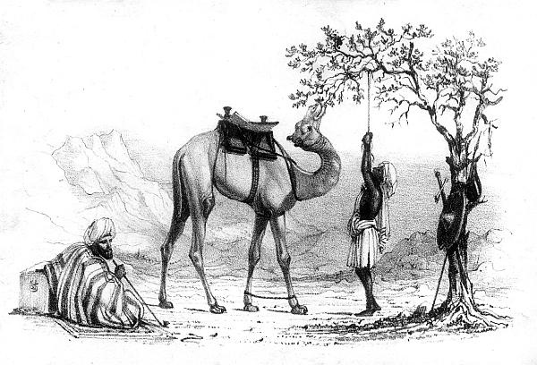 Иллюстрация к книге — Сирия и Палестина под турецким правительством [i_032.jpg]