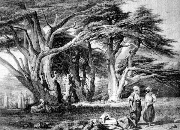 Иллюстрация к книге — Сирия и Палестина под турецким правительством [i_076.jpg]