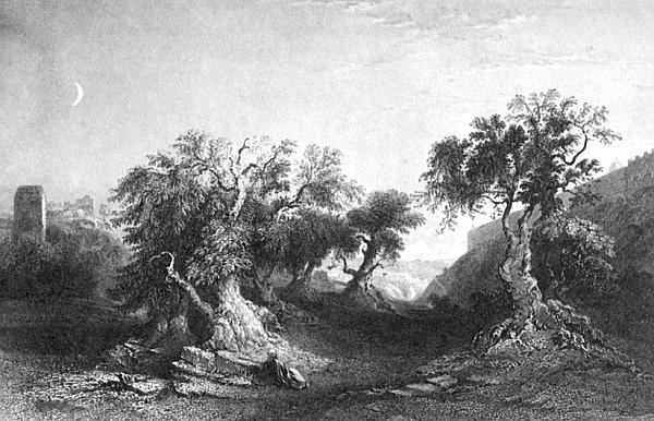 Иллюстрация к книге — Сирия и Палестина под турецким правительством [i_086.jpg]