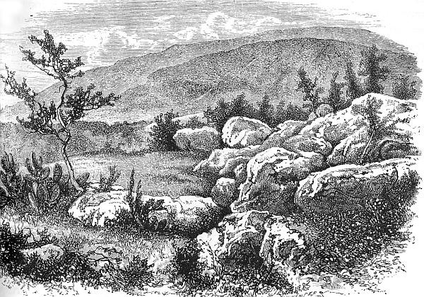 Иллюстрация к книге — Сирия и Палестина под турецким правительством [i_113.jpg]