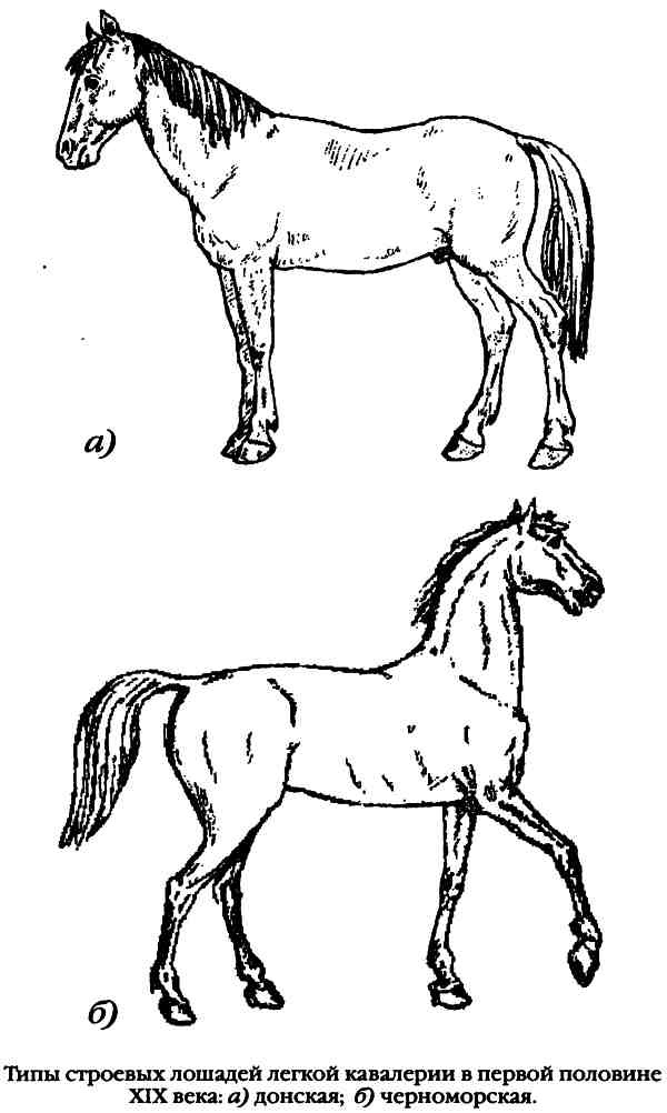 Иллюстрация к книге — Повседневная жизнь русского гусара в царствование императора Александра I [i_048.jpg]