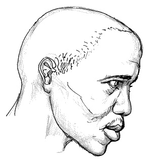 Иллюстрация к книге — Тайная родословная человечества [_36.jpg]