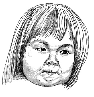 Иллюстрация к книге — Тайная родословная человечества [_61.jpg]