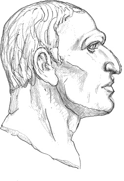 Иллюстрация к книге — Тайная родословная человечества [_69a.jpg]