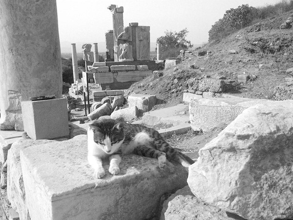 Иллюстрация к книге — Ермолка под тюрбаном [i_024.jpg]