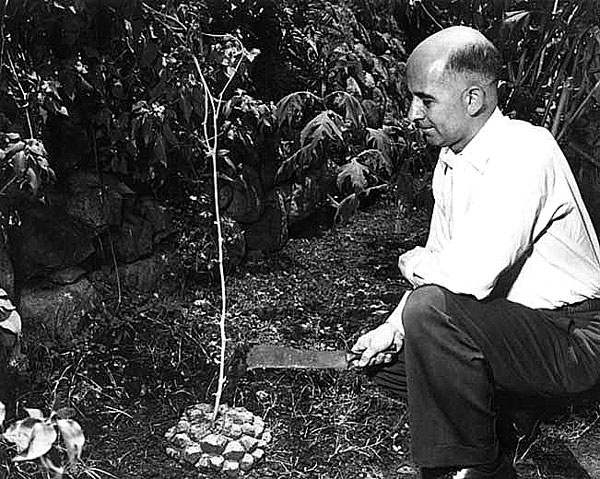 Иллюстрация к книге — Пуговицы Наполеона. Семнадцать молекул, которые изменили мир [i_199.jpg]