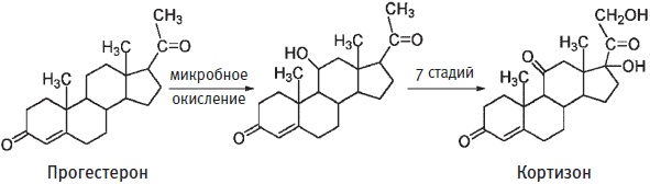 Иллюстрация к книге — Пуговицы Наполеона. Семнадцать молекул, которые изменили мир [i_201.jpg]