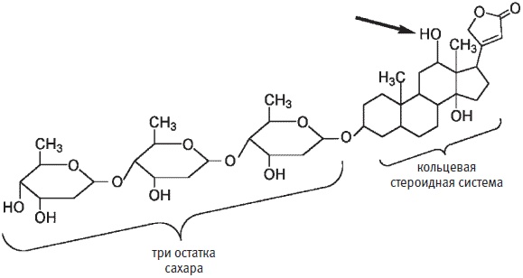 Иллюстрация к книге — Пуговицы Наполеона. Семнадцать молекул, которые изменили мир [i_206.jpg]