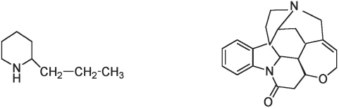 Иллюстрация к книге — Пуговицы Наполеона. Семнадцать молекул, которые изменили мир [i_209.jpg]