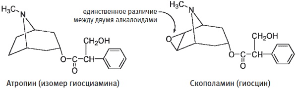 Иллюстрация к книге — Пуговицы Наполеона. Семнадцать молекул, которые изменили мир [i_210.jpg]
