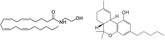 Иллюстрация к книге — Пуговицы Наполеона. Семнадцать молекул, которые изменили мир [i_236.jpg]