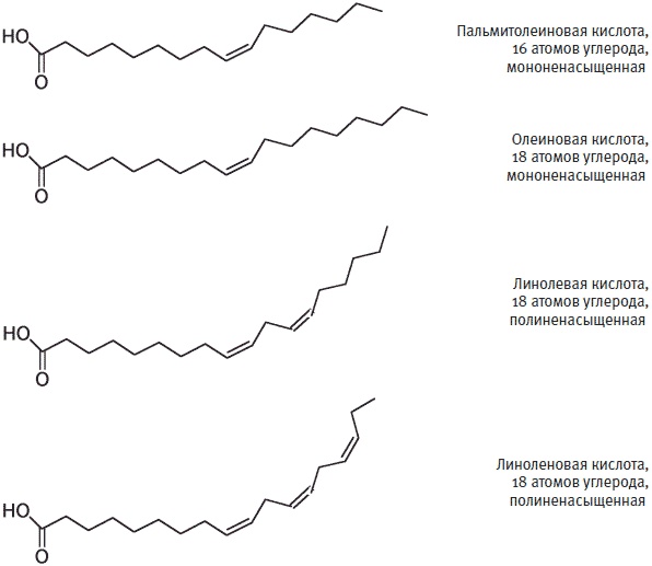 Иллюстрация к книге — Пуговицы Наполеона. Семнадцать молекул, которые изменили мир [i_246.jpg]