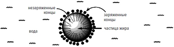 Иллюстрация к книге — Пуговицы Наполеона. Семнадцать молекул, которые изменили мир [i_252.jpg]