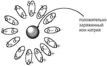 Иллюстрация к книге — Пуговицы Наполеона. Семнадцать молекул, которые изменили мир [i_257.jpg]