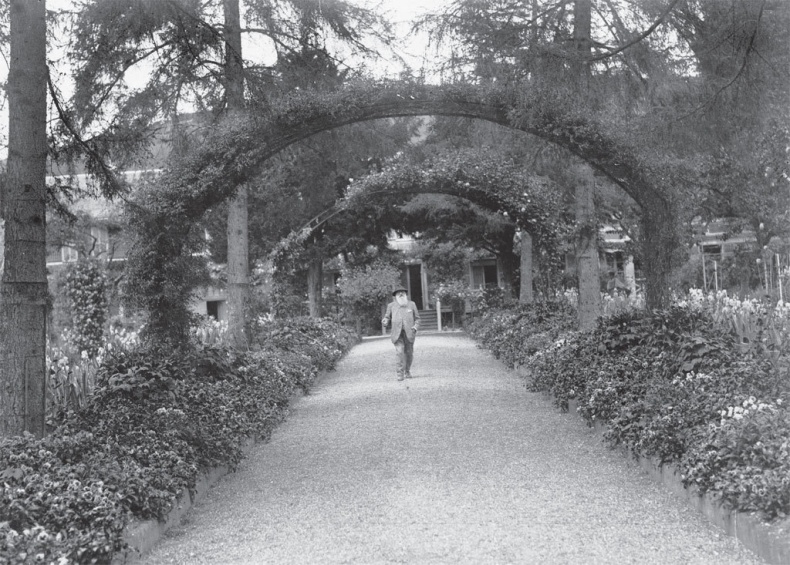 Иллюстрация к книге — Чарующее безумие. Клод Моне и водяные лилии [i_012.jpg]