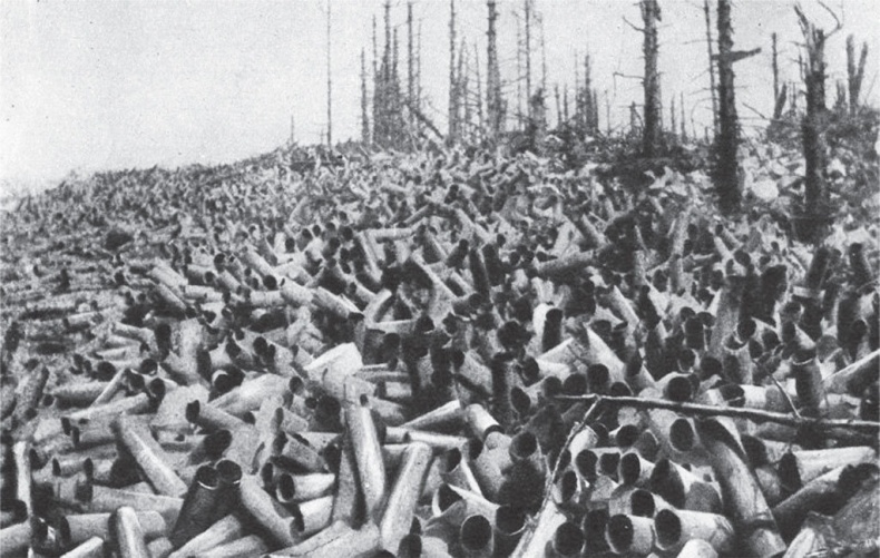 Иллюстрация к книге — Чарующее безумие. Клод Моне и водяные лилии [i_027.jpg]