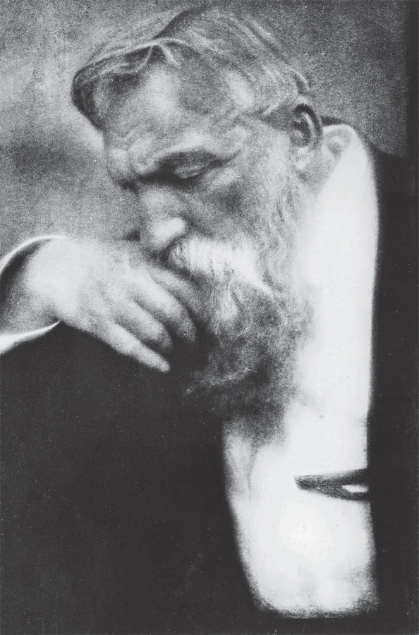 Иллюстрация к книге — Чарующее безумие. Клод Моне и водяные лилии [i_029.jpg]