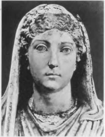 Иллюстрация к книге — Повседневная жизнь римского патриция в эпоху разрушения Карфагена [i_007.jpg]