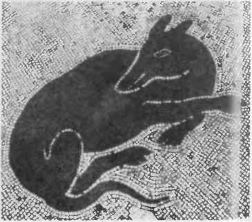 Иллюстрация к книге — Повседневная жизнь римского патриция в эпоху разрушения Карфагена [i_011.jpg]