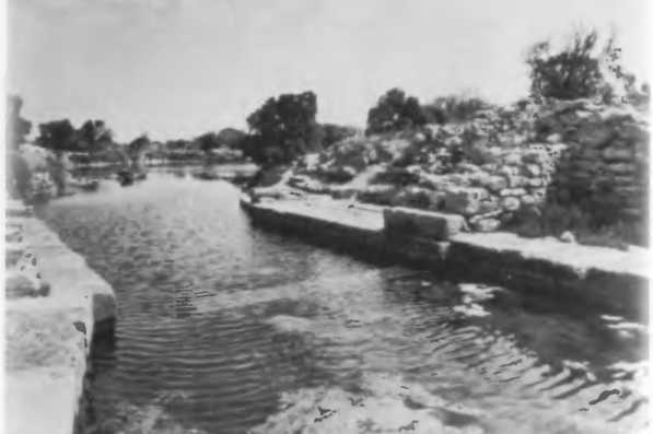 Иллюстрация к книге — Повседневная жизнь римского патриция в эпоху разрушения Карфагена [i_022.jpg]