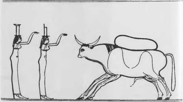 Иллюстрация к книге — Повседневная жизнь римского патриция в эпоху разрушения Карфагена [i_026.jpg]