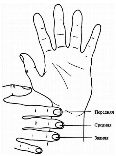 Иллюстрация к книге — Цигун для здоровья и боевых искусств. Полный практический курс [_00.jpg]