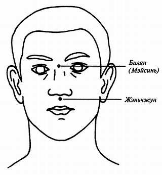 Иллюстрация к книге — Цигун для здоровья и боевых искусств. Полный практический курс [_01.jpg]