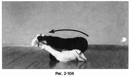 Иллюстрация к книге — Цигун для здоровья и боевых искусств. Полный практический курс [_104.jpg]