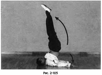 Иллюстрация к книге — Цигун для здоровья и боевых искусств. Полный практический курс [_105.jpg]