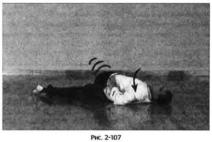 Иллюстрация к книге — Цигун для здоровья и боевых искусств. Полный практический курс [_107.jpg]