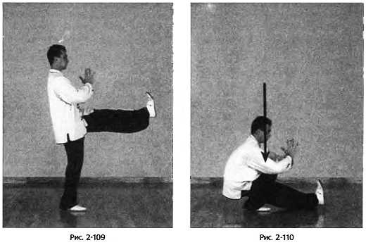 Иллюстрация к книге — Цигун для здоровья и боевых искусств. Полный практический курс [_110.jpg]