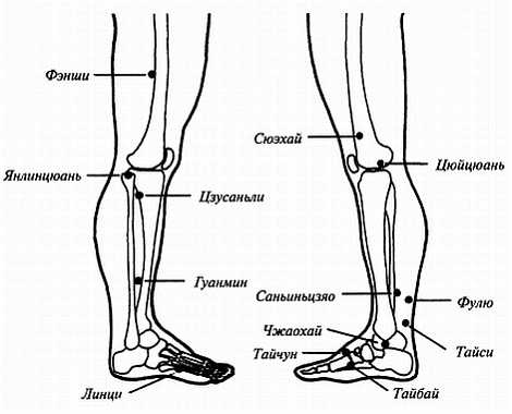 Иллюстрация к книге — Цигун для здоровья и боевых искусств. Полный практический курс [_12.jpg]