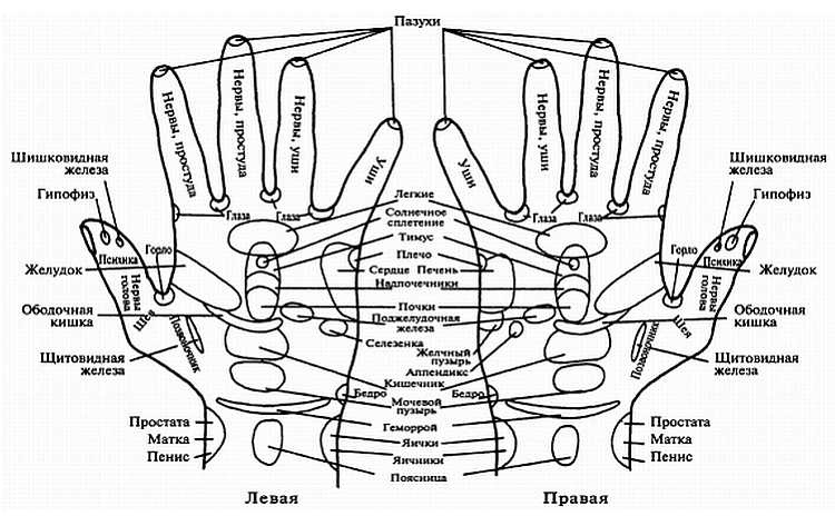 Иллюстрация к книге — Цигун для здоровья и боевых искусств. Полный практический курс [_13.jpg]