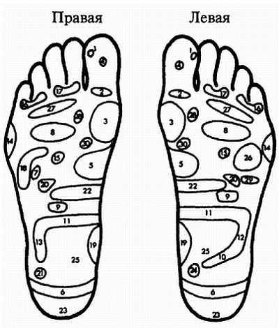 Иллюстрация к книге — Цигун для здоровья и боевых искусств. Полный практический курс [_14.jpg]