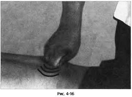 Иллюстрация к книге — Цигун для здоровья и боевых искусств. Полный практический курс [_16.jpg]