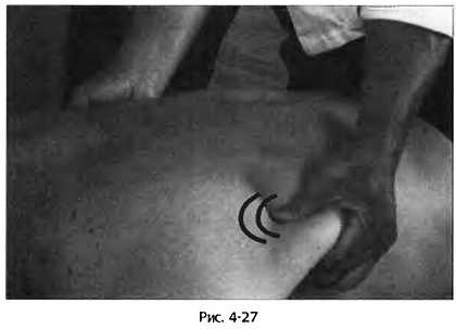 Иллюстрация к книге — Цигун для здоровья и боевых искусств. Полный практический курс [_27.jpg]