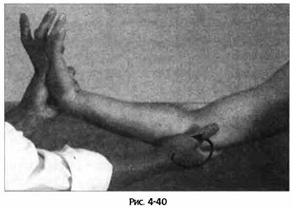 Иллюстрация к книге — Цигун для здоровья и боевых искусств. Полный практический курс [_40.jpg]