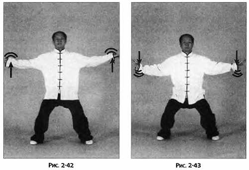 Иллюстрация к книге — Цигун для здоровья и боевых искусств. Полный практический курс [_43.jpg]