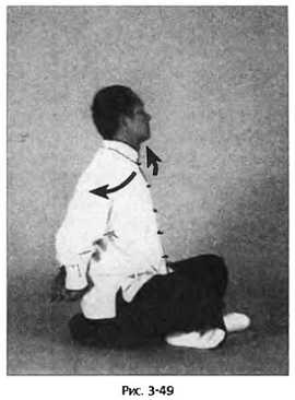 Иллюстрация к книге — Цигун для здоровья и боевых искусств. Полный практический курс [_50.jpg]